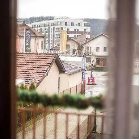 Daire Bojana Vrnjačka Banja